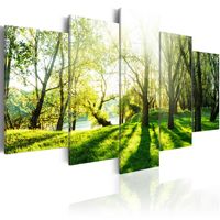 Bild auf Leinwand Baum mit Sonnenschein im wilden Wald Wandbild Poster Leinwandb