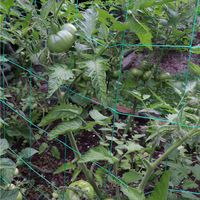 2x3 m Kingt Ranknetz mit der Maschenweite 10x10 cm Rankhilfe Gartennetz f/ür Kletterpflanzen Gurke Tomaten Erbsen Schwerbeladen