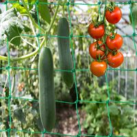 2x3 m Kingt Ranknetz mit der Maschenweite 10x10 cm Rankhilfe Gartennetz f/ür Kletterpflanzen Gurke Tomaten Erbsen Schwerbeladen