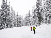 Aluminium 56 cm f/ür Damen und Herren Outdoor Schneeschuh mit verstellbaren Bindungen Spaziergang Tragetasche hochwertig Schneeschuhe Klettern Winter