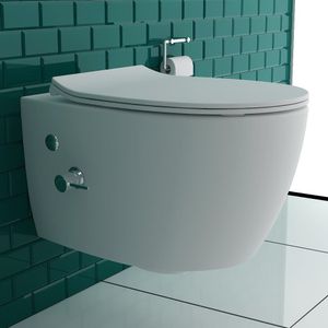 Alpenberger Spülrandlos-Dusch WC mit Kalt-Warm Einhebelarmatur inkl WC-Sitz