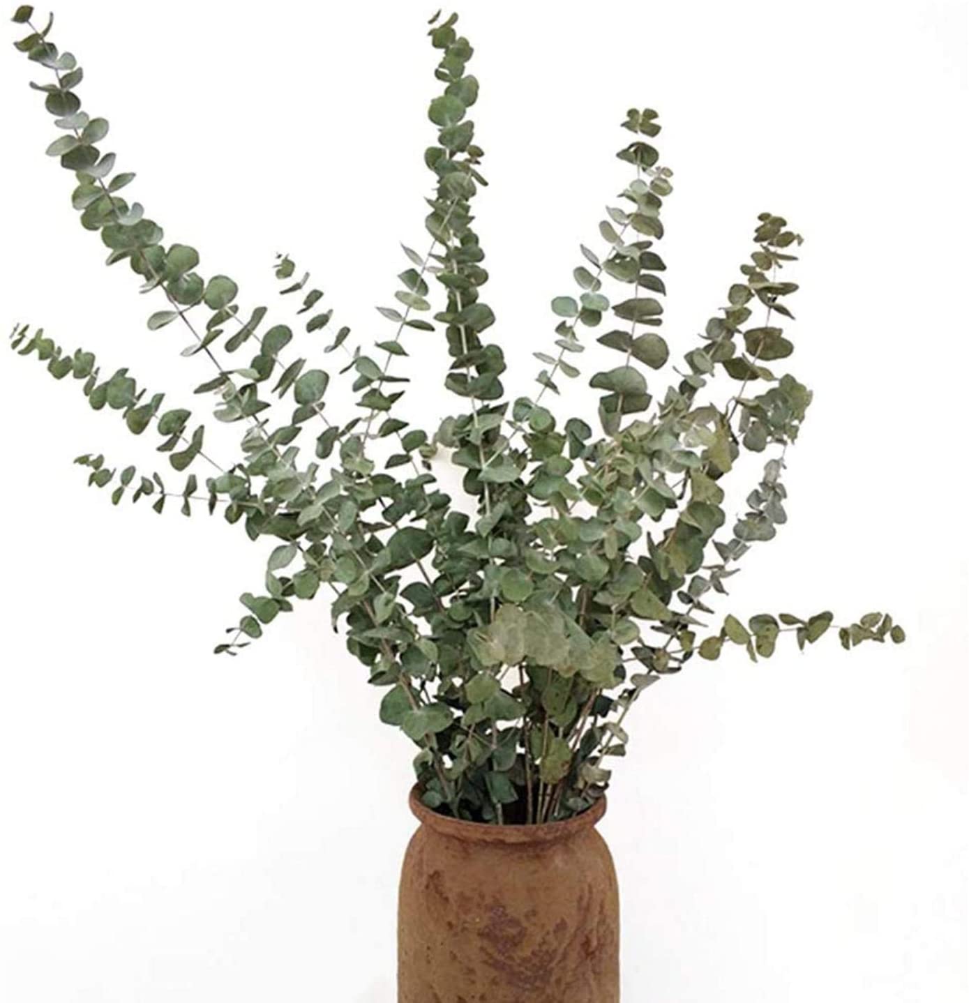 K/ünstlicher Eukalyptuszweig Eukalyptus- Real Touch Premium Qualit/ät 40 cm - 3 Zweige Bund, Dunkelviolett Blumenarrangement Blumendekoration